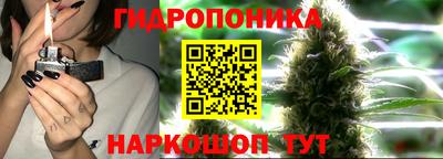 apvp Янаул