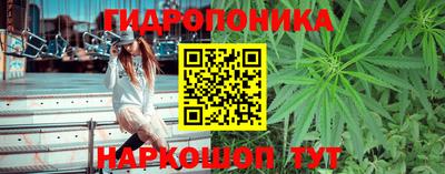 гидропоника Ярославль