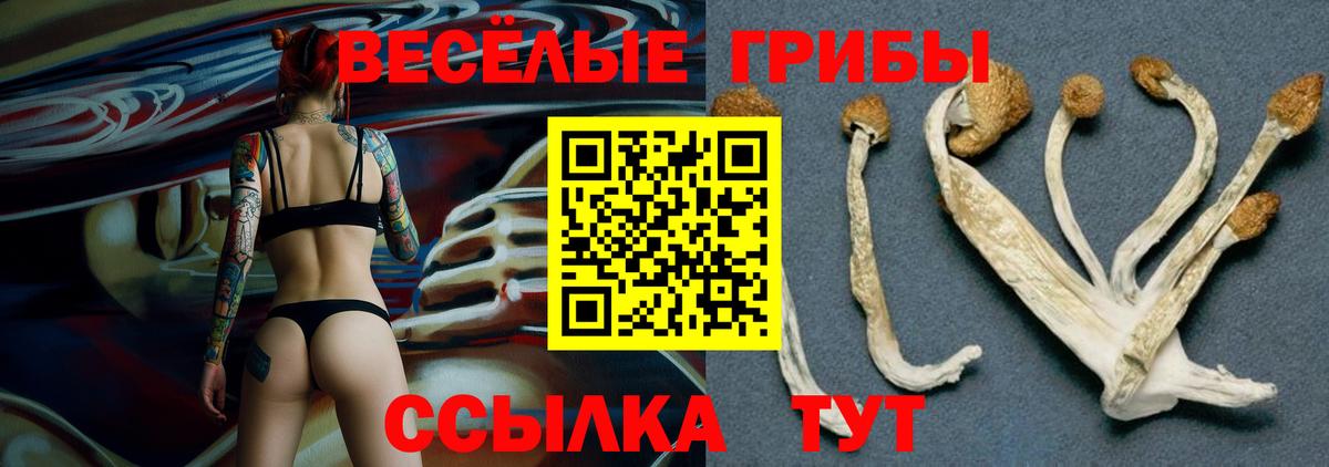 Псилоцибиновые грибы прущие грибы Белая Калитва